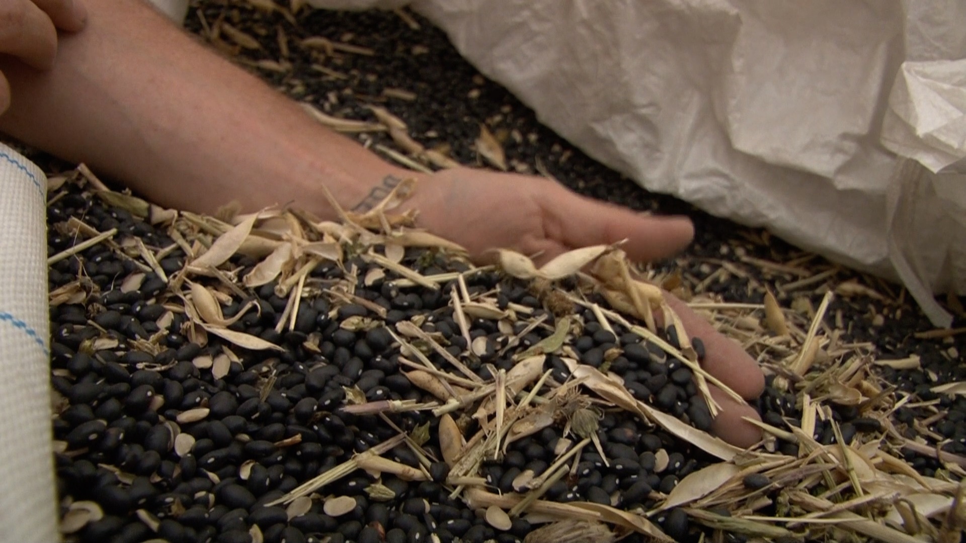 Get a glimpse of the cleaning process at our mill...