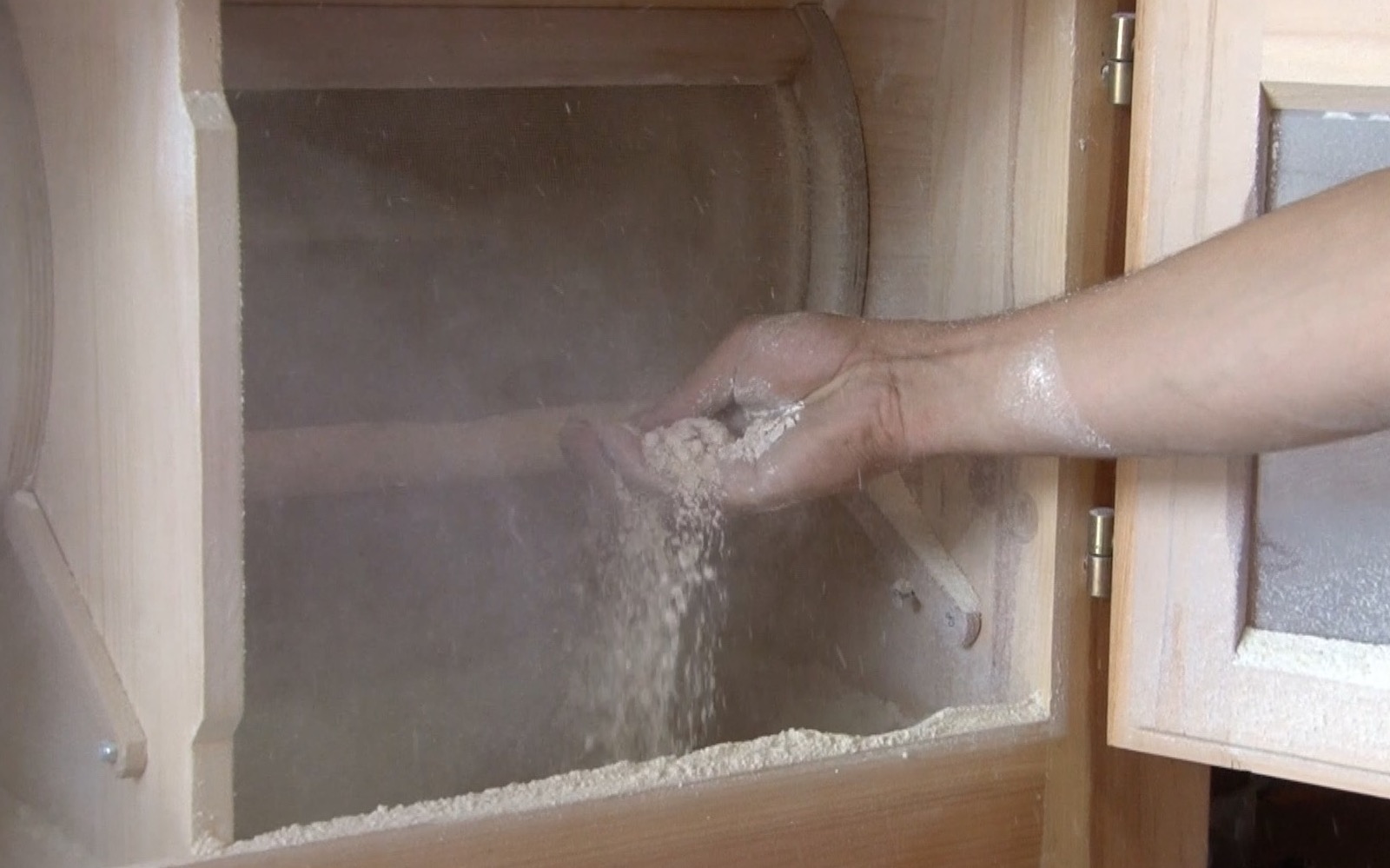 Check out the flour making process at Shagbark Seed & Mill!